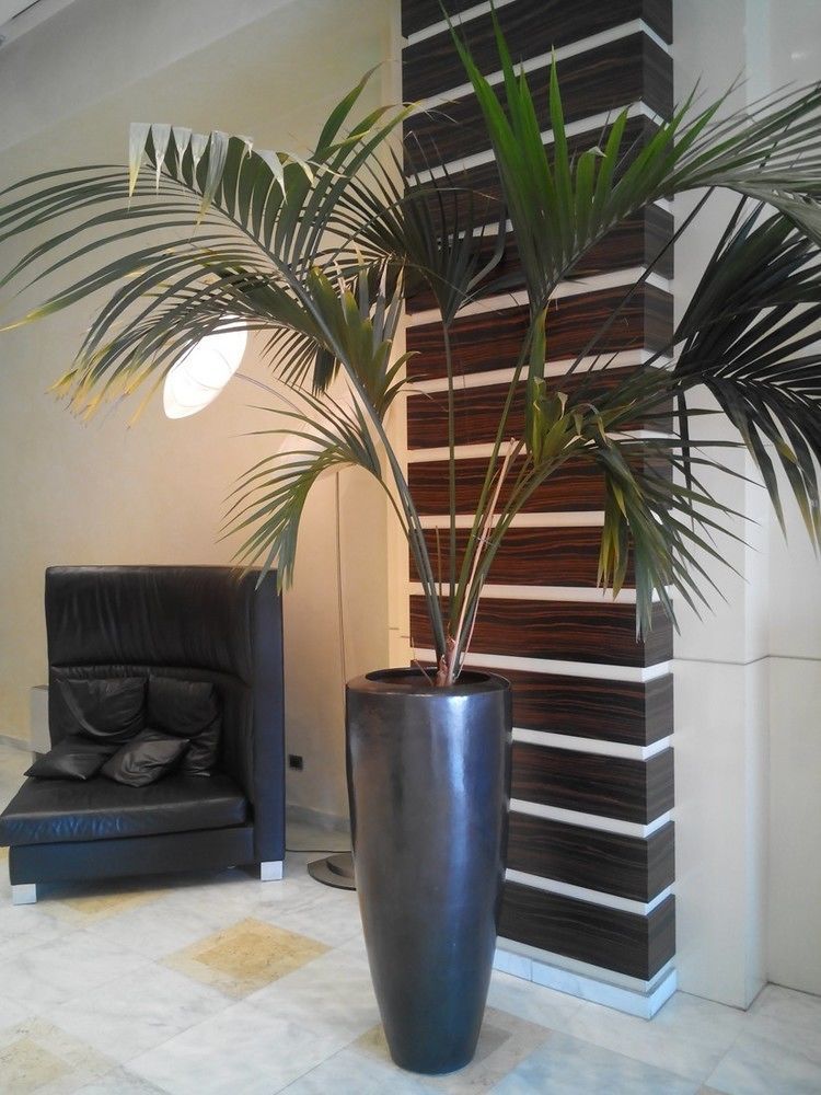 Papillo Hotels & Resorts Roma Exterior foto
